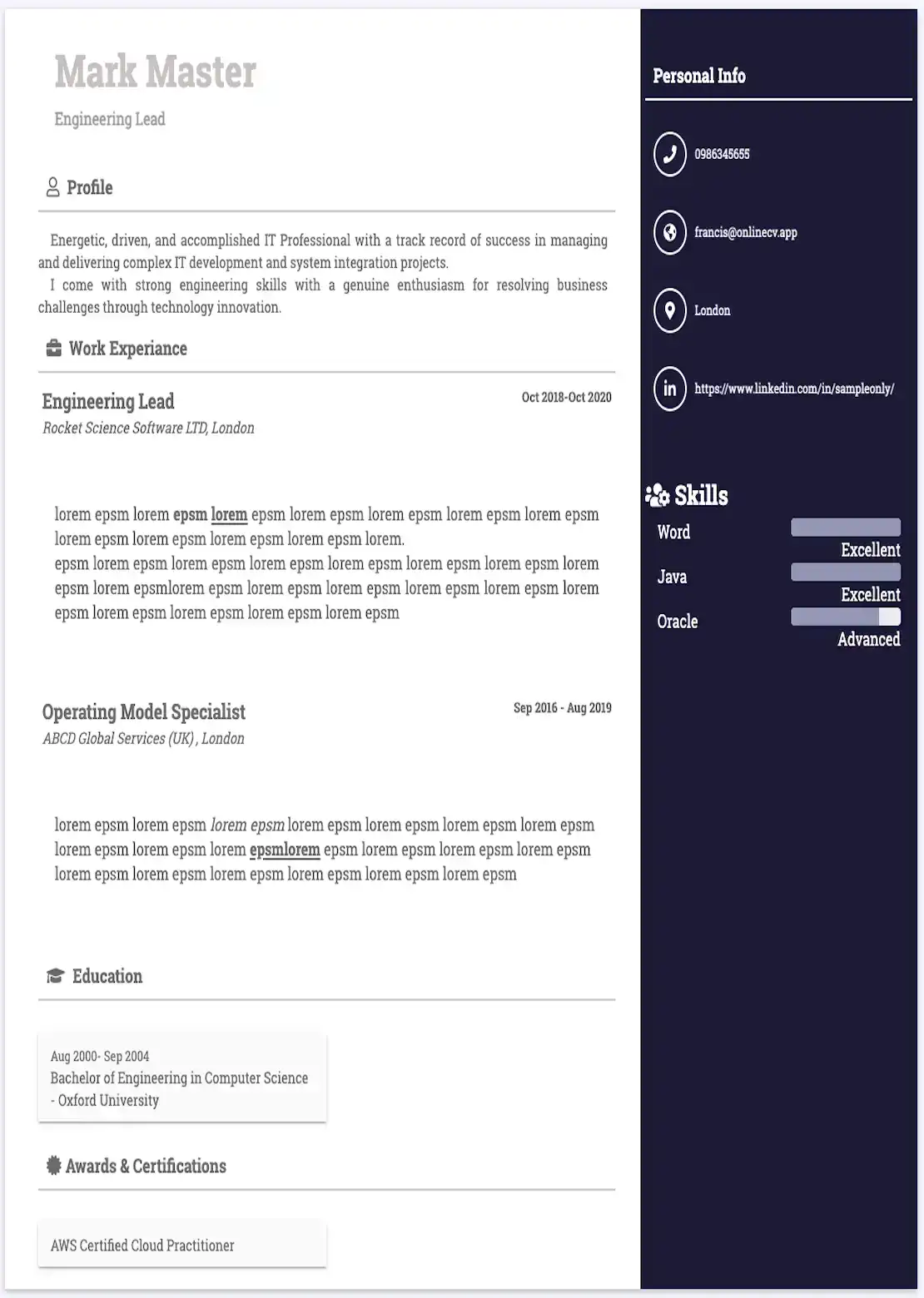 CV Template